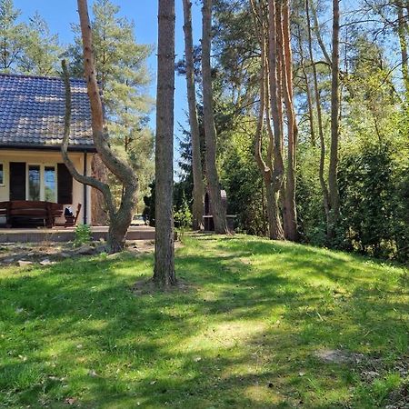 Domek Nad Narwia Dlugosiodlo Экстерьер фото